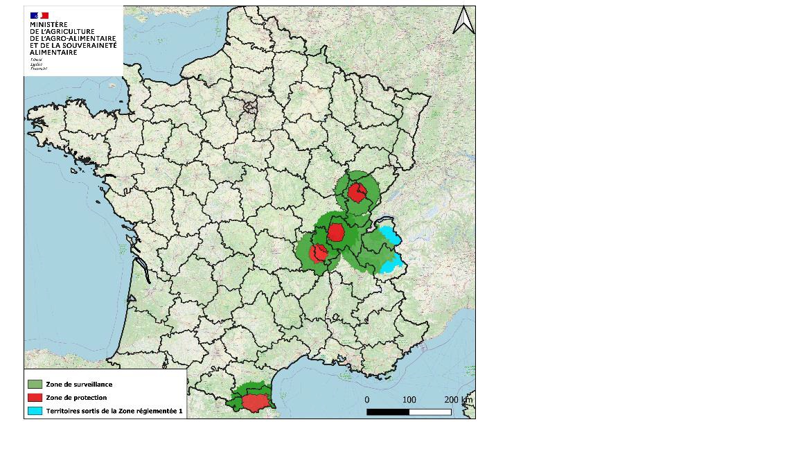 251017 DNC nationael