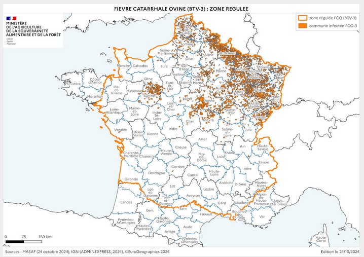 zone rgule srotype 3 241024